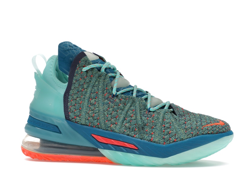 Nike LeBron 18 We Are Family