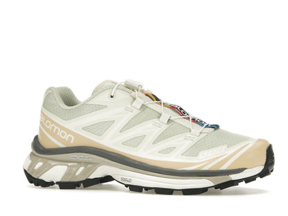 Salomon XT-6 Aloe Wash Feather Grey