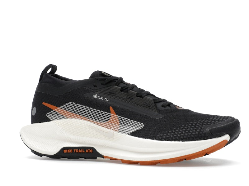 Nike Pegasus Trail 5 Gore-Tex Off Noir Black Monarch Pale Ivory
