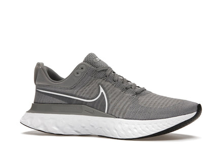 Nike React Infinity Run Flyknit 2 Particle Grey