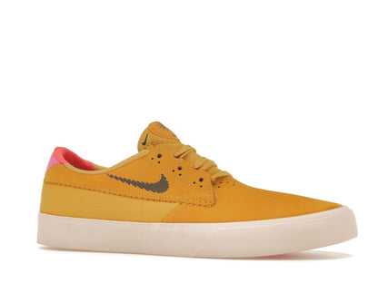 Nike SB Shane T Pollen