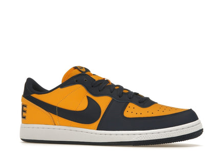Nike Terminator Low Michigan
