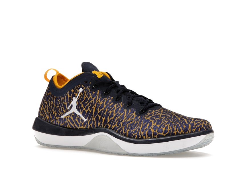 Jordan Trainer 1 Low Michigan