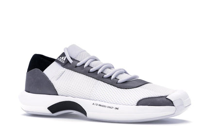 adidas Crazy 1 A/D Workshop