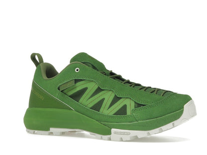 Salomon Alpinway SP2 Philéo Landowski Treetop