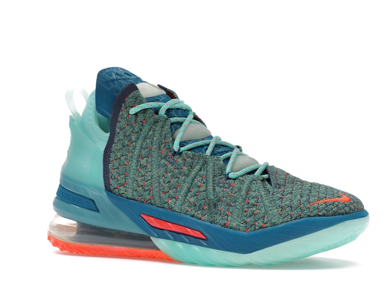 Nike LeBron 18 We Are Family
