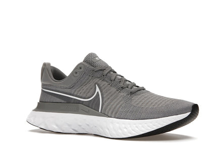 Nike React Infinity Run Flyknit 2 Particle Grey