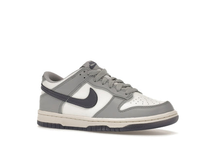 Nike Dunk Low Platinum Tint Light Carbon (GS)