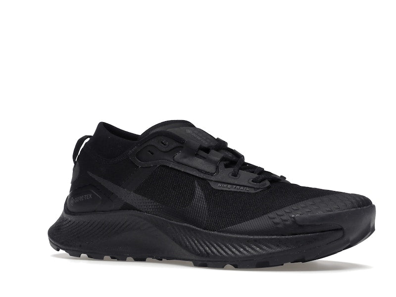 Nike Pegasus Trail 3 Gore-Tex Black Dark Smoke Grey