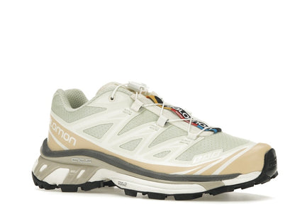 Salomon XT-6 Aloe Wash Feather Grey