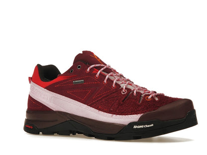 Salomon X-Alpages Gore-Tex The Broken Arm