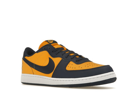 Nike Terminator Low Michigan