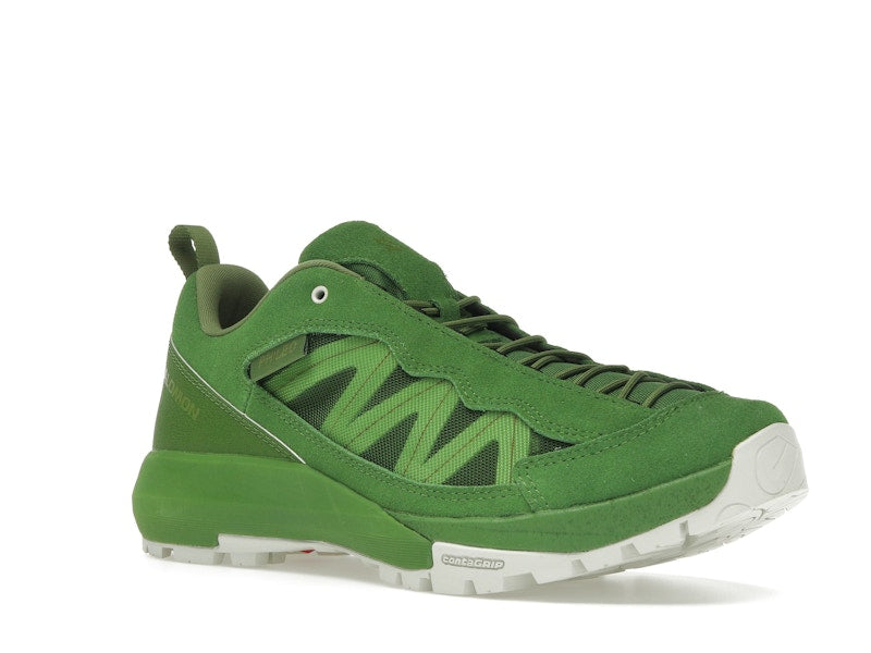 Salomon Alpinway SP2 Philéo Landowski Treetop