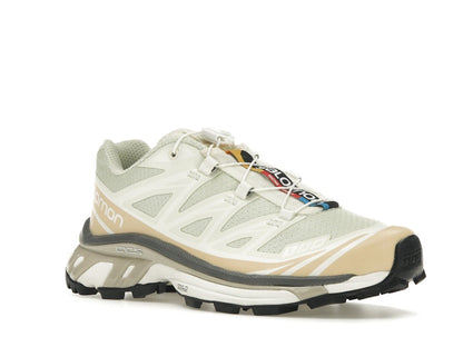 Salomon XT-6 Aloe Wash Feather Grey