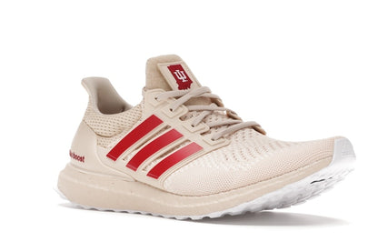 adidas Ultra Boost 1.0 Indiana