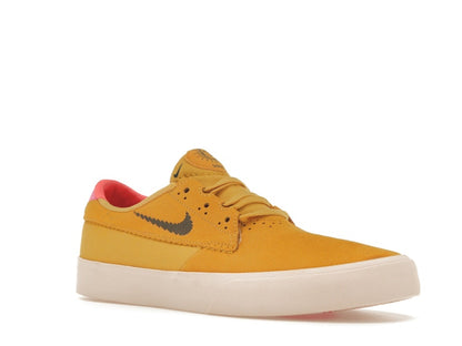 Nike SB Shane T Pollen