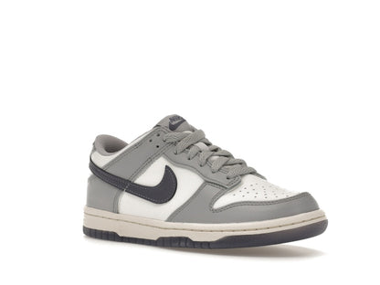 Nike Dunk Low Platinum Tint Light Carbon (GS)