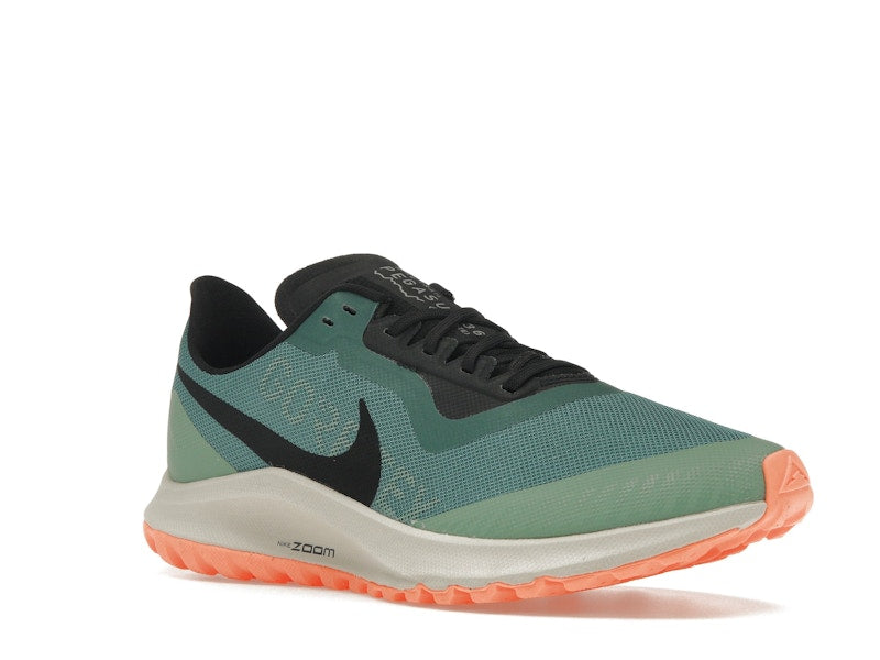 Nike Zoom Pegasus 36 Trail Gore-Tex Bicoastal (Women's)