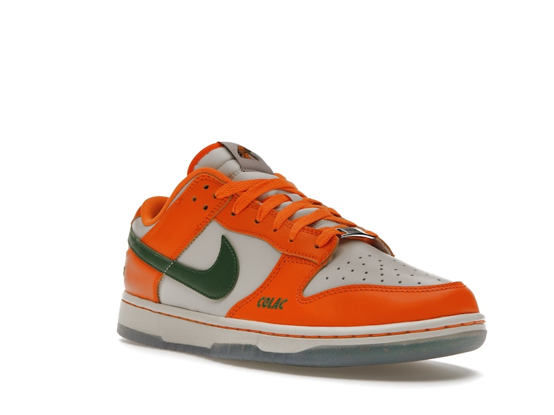 Nike Dunk Low FAMU