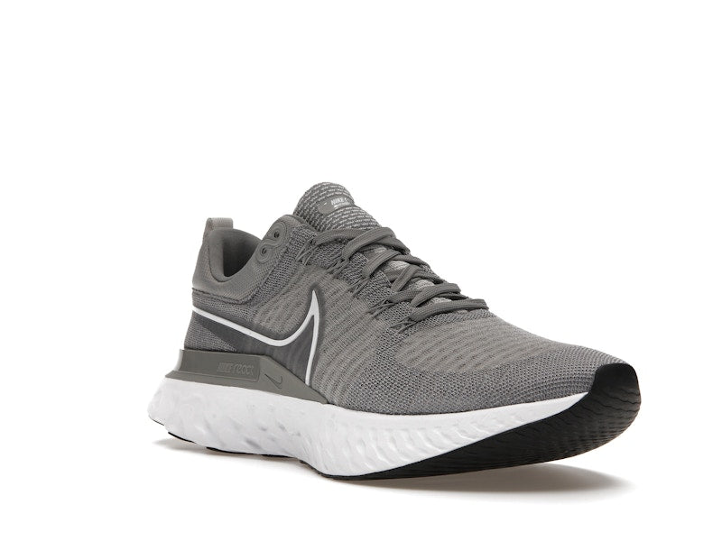 Nike React Infinity Run Flyknit 2 Particle Grey