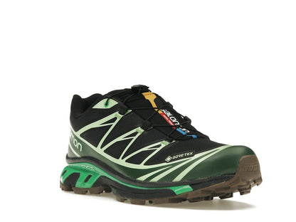 Salomon Advanced XT-6 Gore-Tex Eden Green Ash