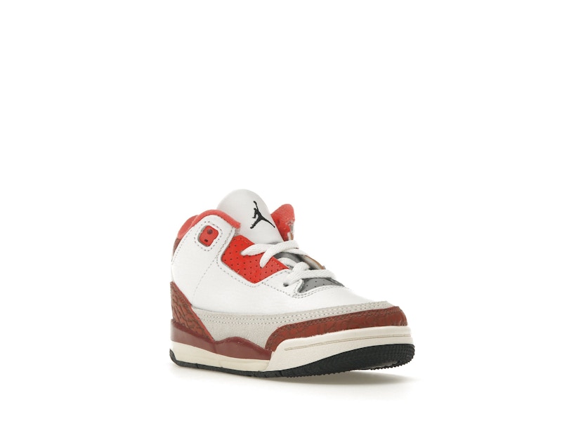 Jordan 3 Retro SE Dunk on Mars (TD)