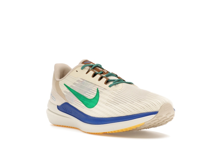 Nike Winflo 9 Premium Nike Moving Company