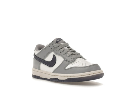 Nike Dunk Low Platinum Tint Light Carbon (GS)
