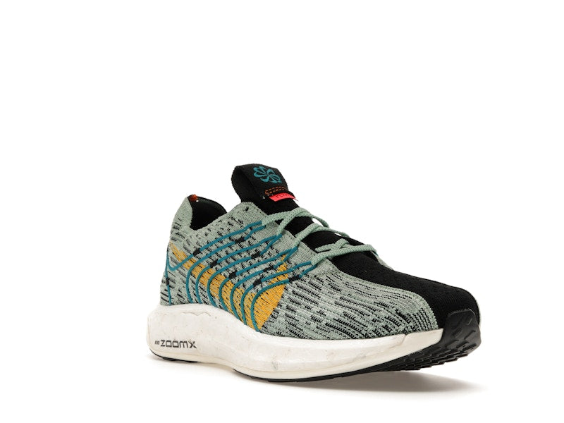Nike Pegasus Turbo Next Nature 5 Borough Tour