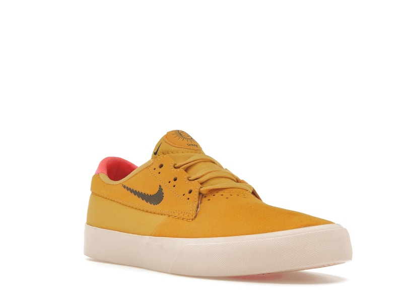Nike SB Shane T Pollen