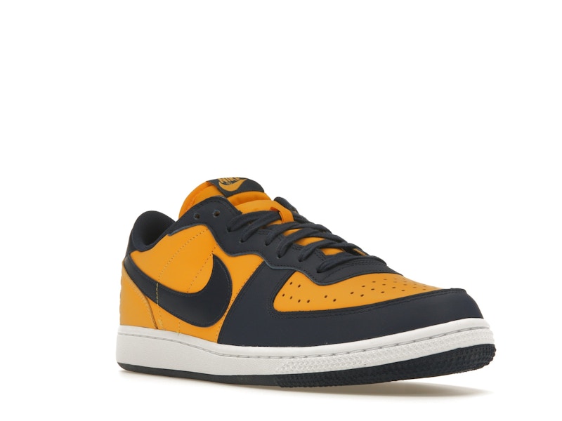 Nike Terminator Low Michigan