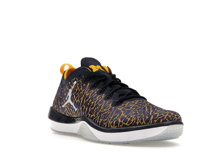 Jordan Trainer 1 Low Michigan