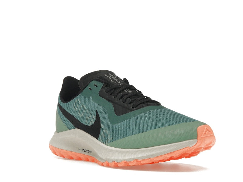 Nike Zoom Pegasus 36 Trail Gore-Tex Bicoastal (Women's)
