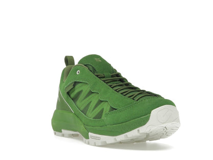 Salomon Alpinway SP2 Philéo Landowski Treetop