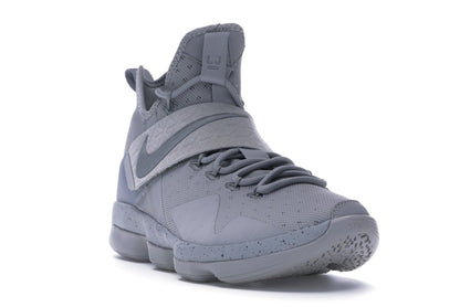 Nike LeBron 14 Silver