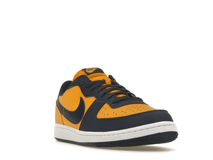 Nike Terminator Low Michigan