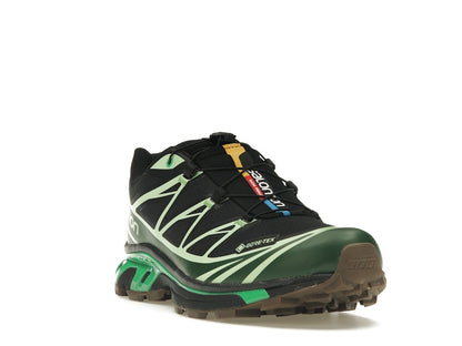 Salomon Advanced XT-6 Gore-Tex Eden Green Ash
