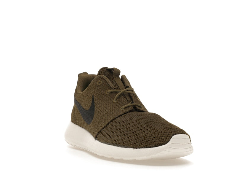 Nike Roshe Run Iguana