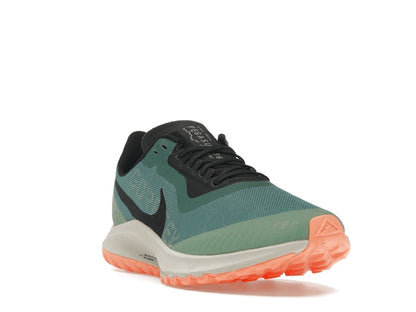Nike Zoom Pegasus 36 Trail Gore-Tex Bicoastal (Women's)