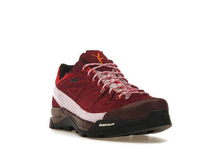 Salomon X-Alpages Gore-Tex The Broken Arm