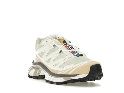 Salomon XT-6 Aloe Wash Feather Grey
