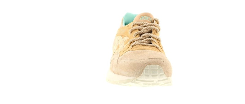 ASICS Gel-Lyte V Offspring Cobbled Streets Part 1