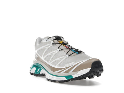 Salomon XT-6 Rainy Day Chinchilla
