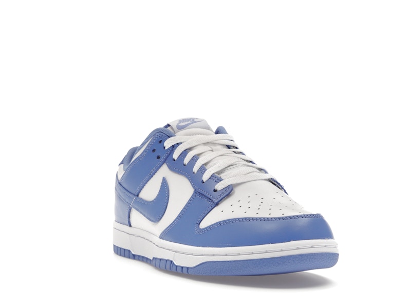 Nike Dunk Low Polar Blue