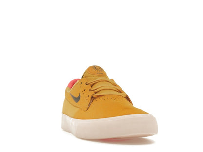 Nike SB Shane T Pollen