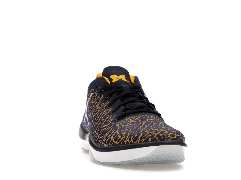 Jordan Trainer 1 Low Michigan