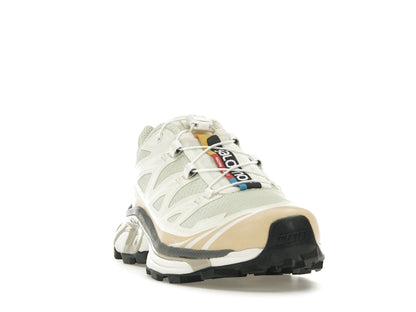 Salomon XT-6 Aloe Wash Feather Grey