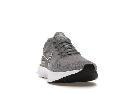 Nike React Infinity Run Flyknit 2 Particle Grey