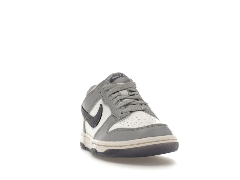 Nike Dunk Low Platinum Tint Light Carbon (GS)