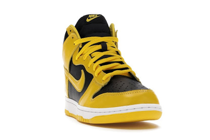 Nike Dunk High Iowa (2020)